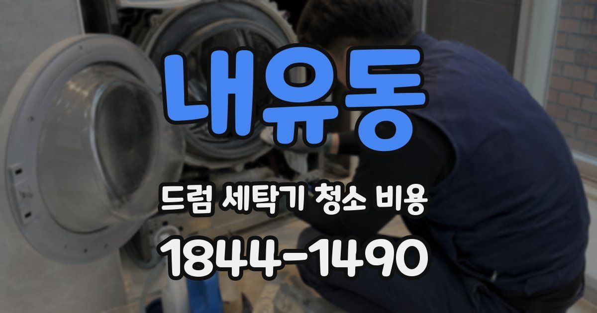 내유동 드럼 세탁기 청소 비용