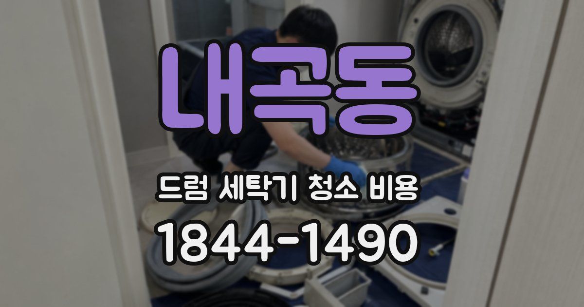 내곡동 드럼 세탁기 청소 비용