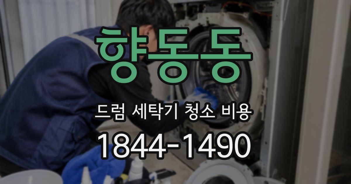 향동동 드럼 세탁기 청소 비용
