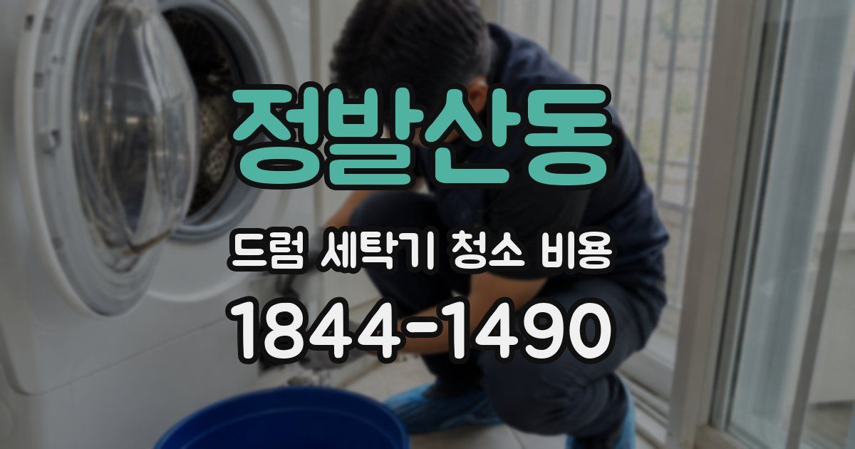 정발산동 드럼 세탁기 청소 비용