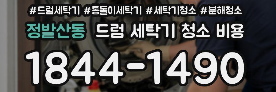 정발산동 드럼 세탁기 청소 비용