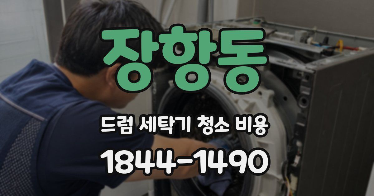 장항동 드럼 세탁기 청소 비용