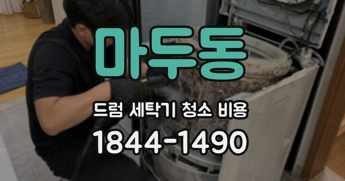 마두동 드럼 세탁기 청소 비용