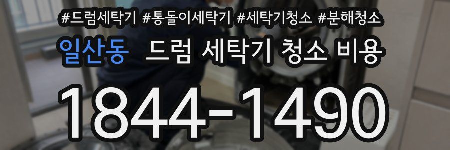 일산동 드럼 세탁기 청소 비용