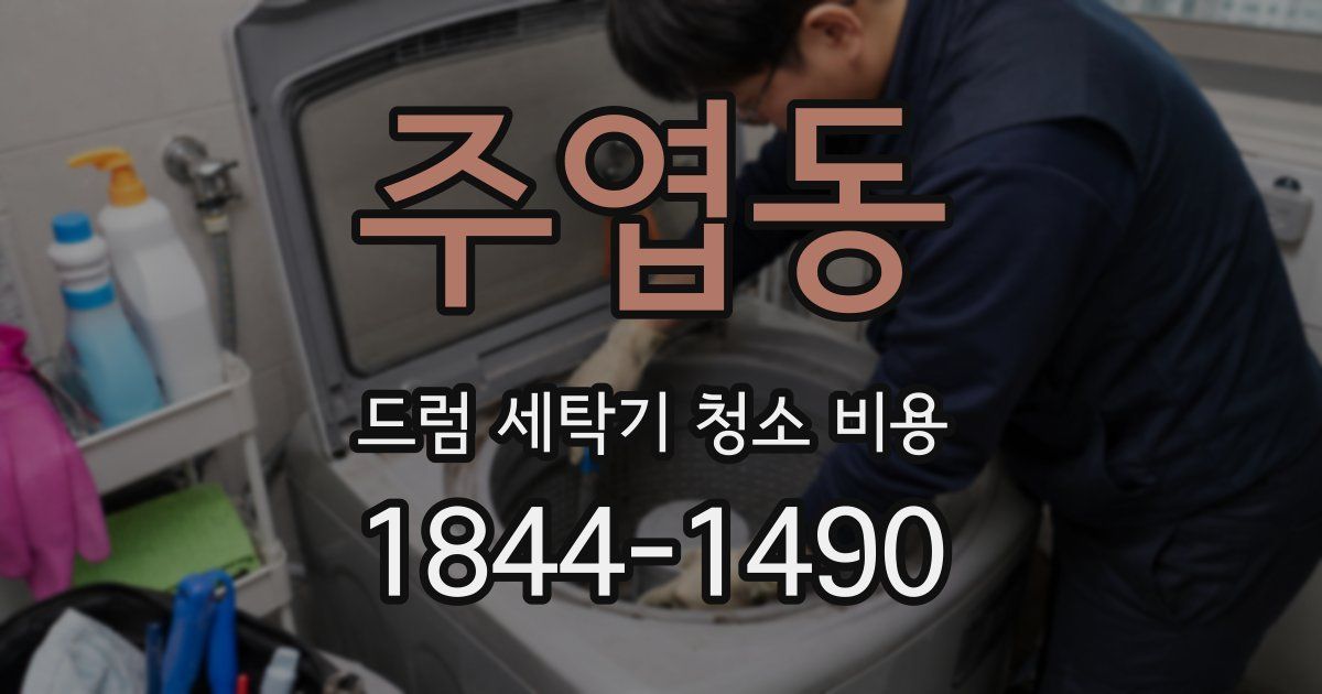 주엽동 드럼 세탁기 청소 비용