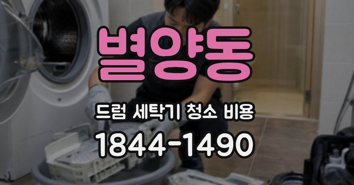 별양동 드럼 세탁기 청소 비용
