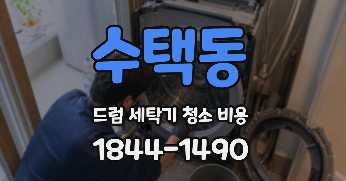 수택동 드럼 세탁기 청소 비용