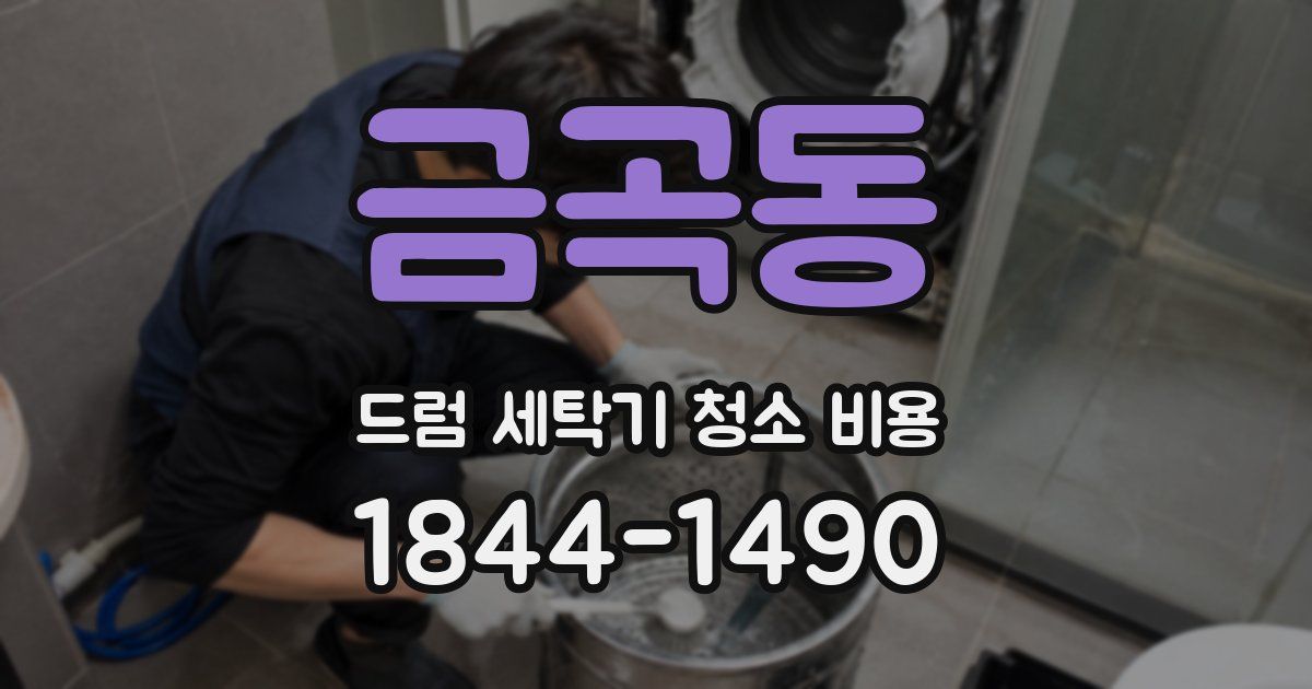 금곡동 드럼 세탁기 청소 비용