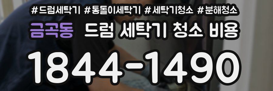 금곡동 드럼 세탁기 청소 비용
