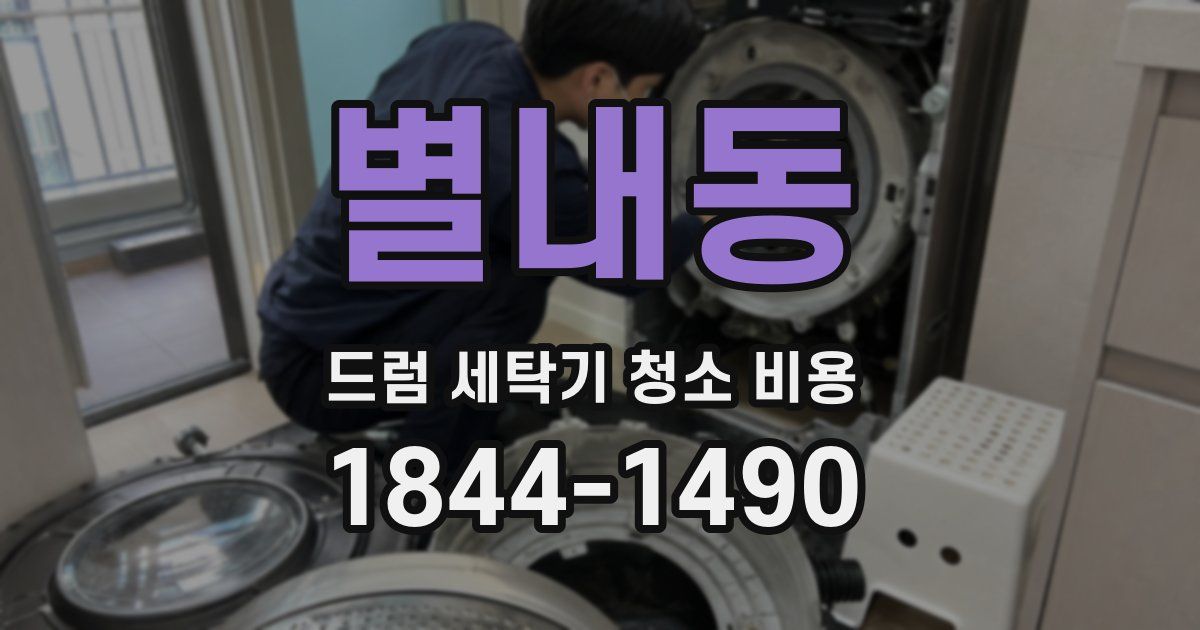 별내동 드럼 세탁기 청소 비용