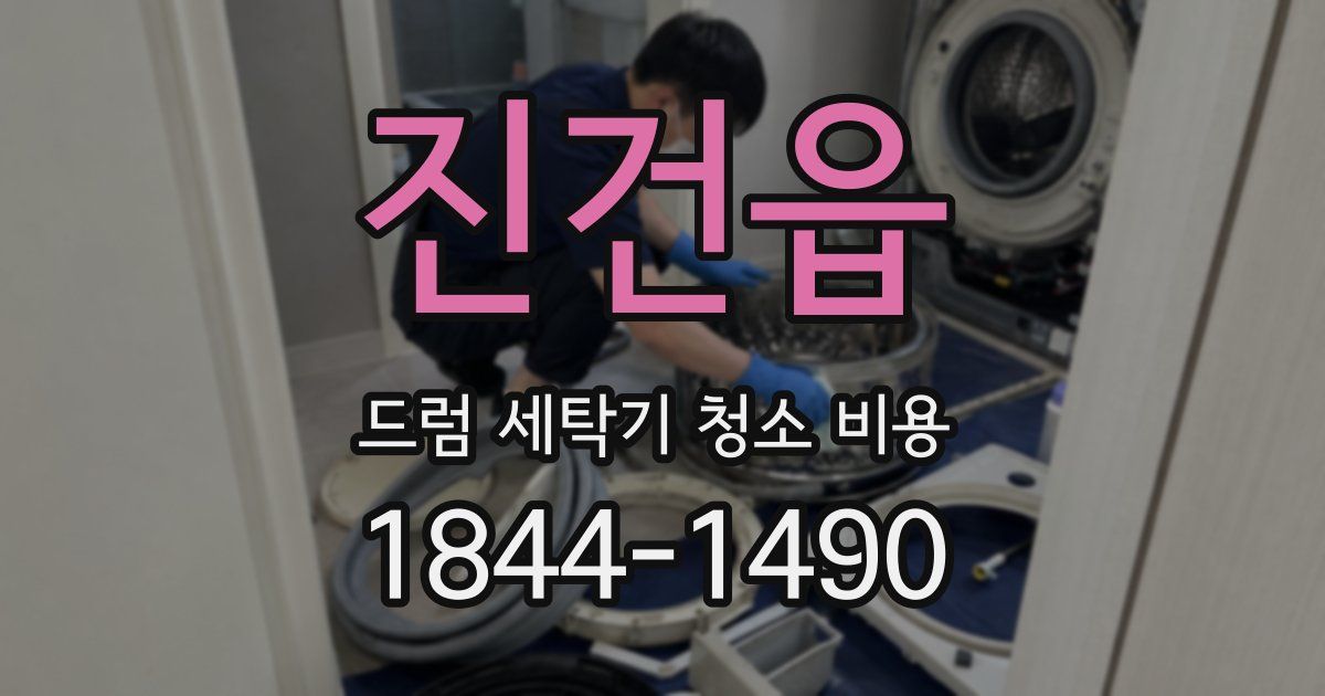 진건읍 드럼 세탁기 청소 비용