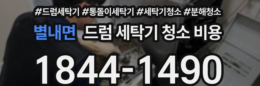 별내면 드럼 세탁기 청소 비용