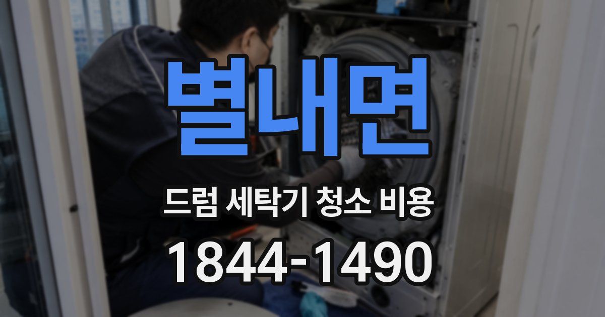 별내면 드럼 세탁기 청소 비용