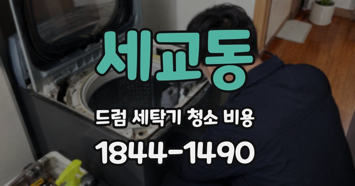 세교동 드럼 세탁기 청소 비용