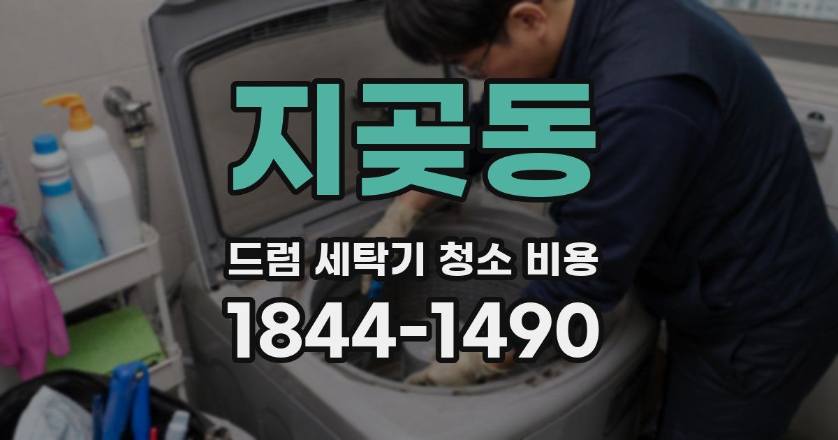 지곶동 드럼 세탁기 청소 비용