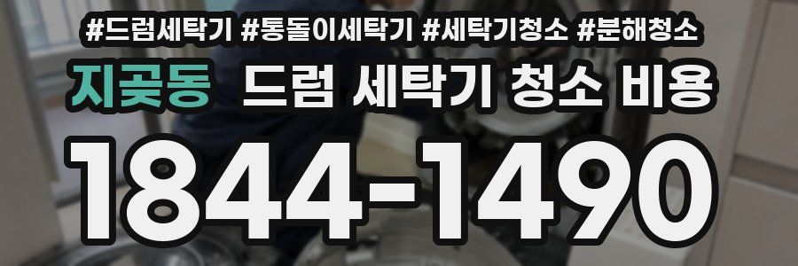 지곶동 드럼 세탁기 청소 비용
