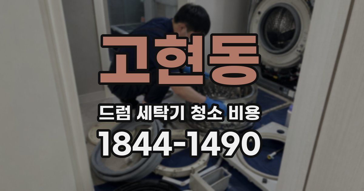 고현동 드럼 세탁기 청소 비용