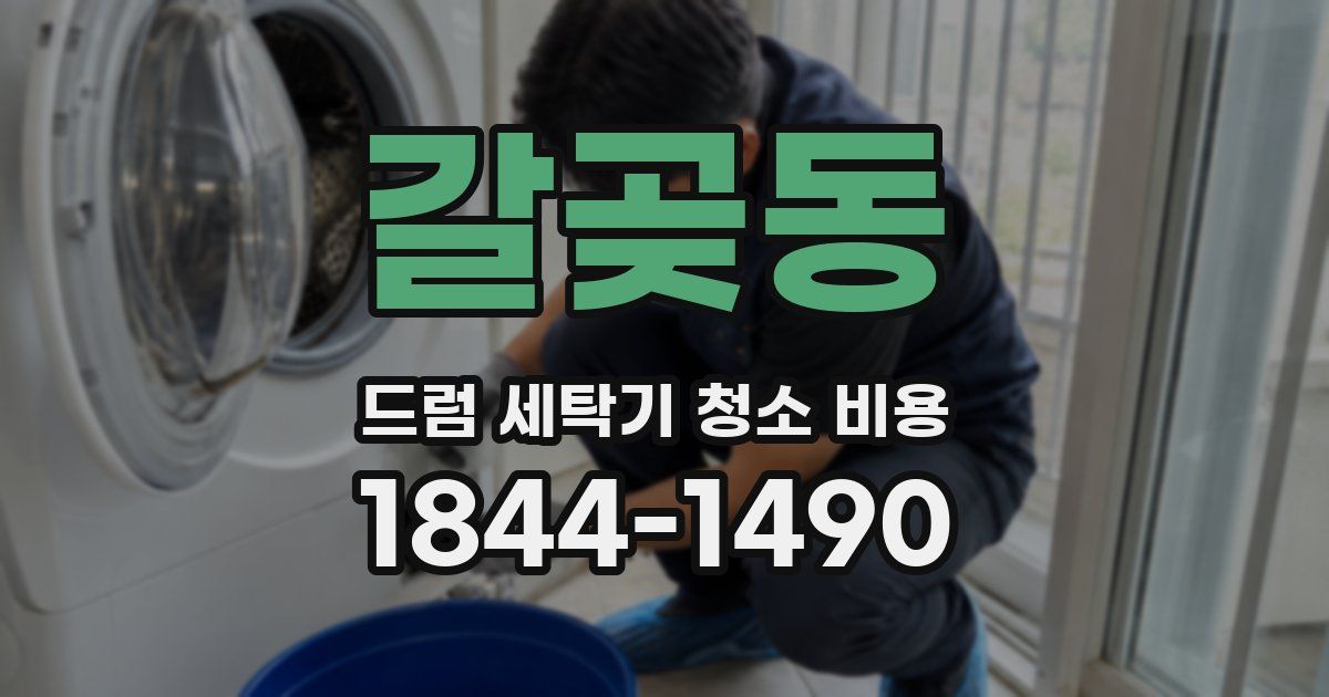 갈곶동 드럼 세탁기 청소 비용