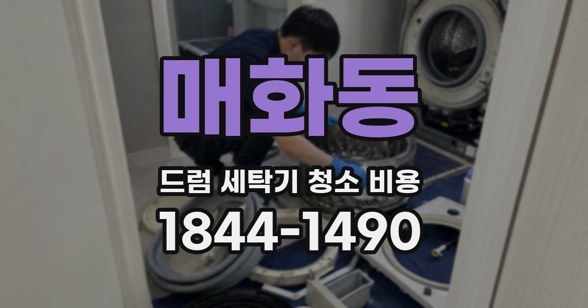매화동 드럼 세탁기 청소 비용