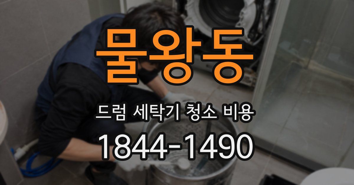 물왕동 드럼 세탁기 청소 비용
