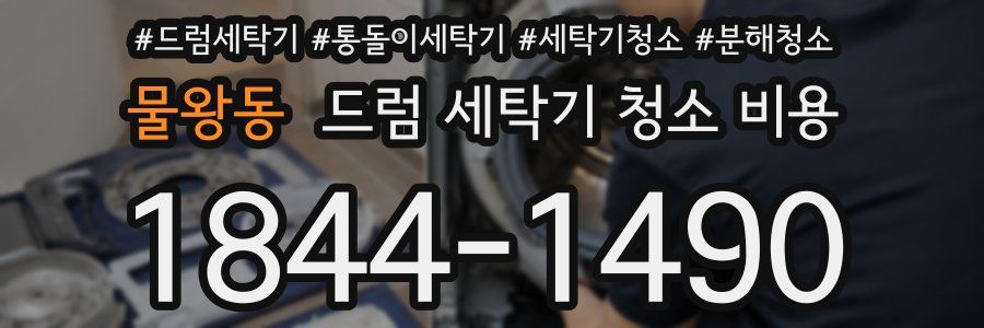 물왕동 드럼 세탁기 청소 비용