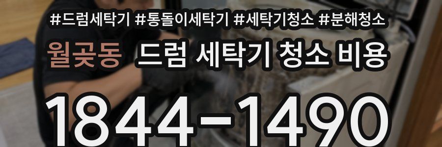 월곶동 드럼 세탁기 청소 비용
