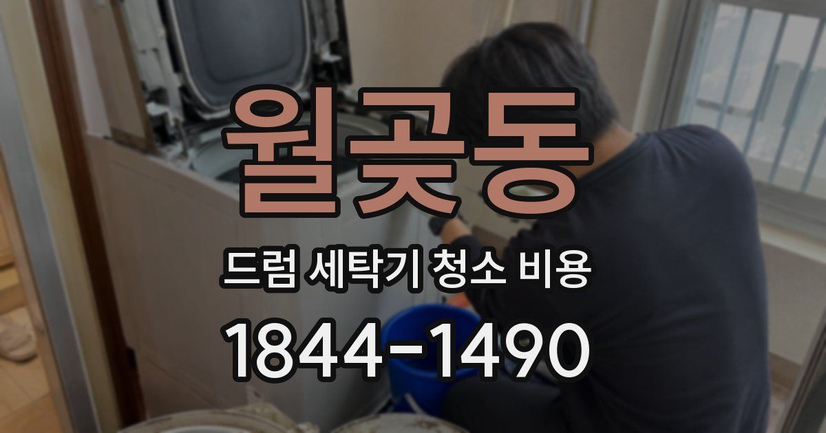월곶동 드럼 세탁기 청소 비용