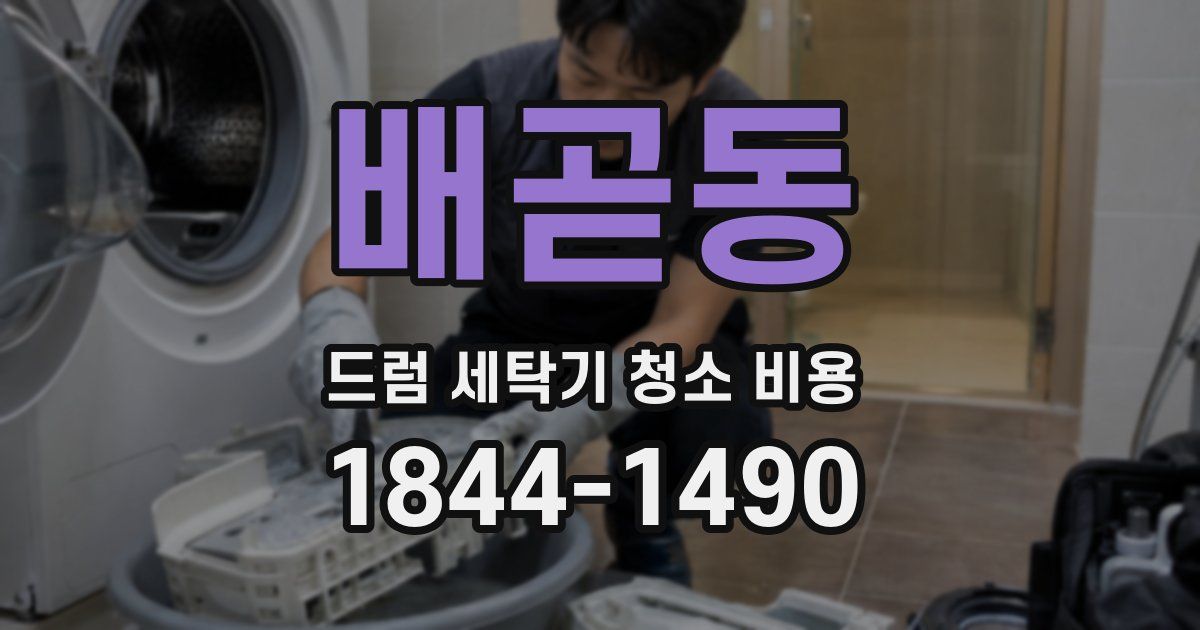 배곧동 드럼 세탁기 청소 비용
