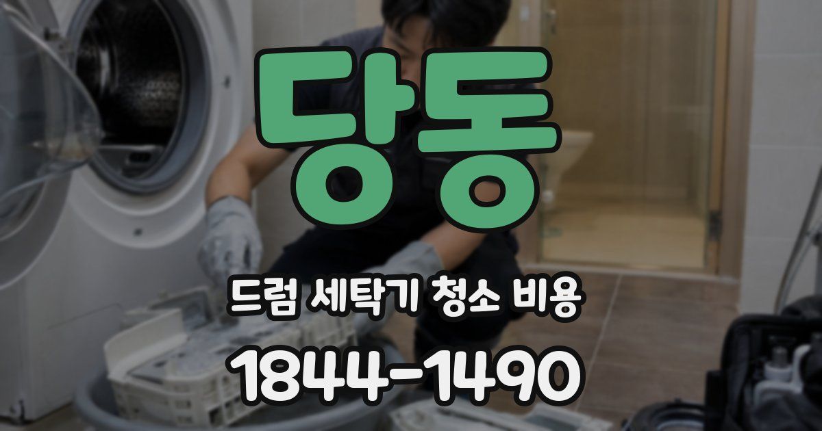 당동 드럼 세탁기 청소 비용