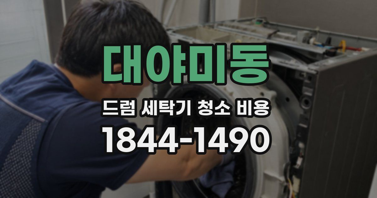 대야미동 드럼 세탁기 청소 비용