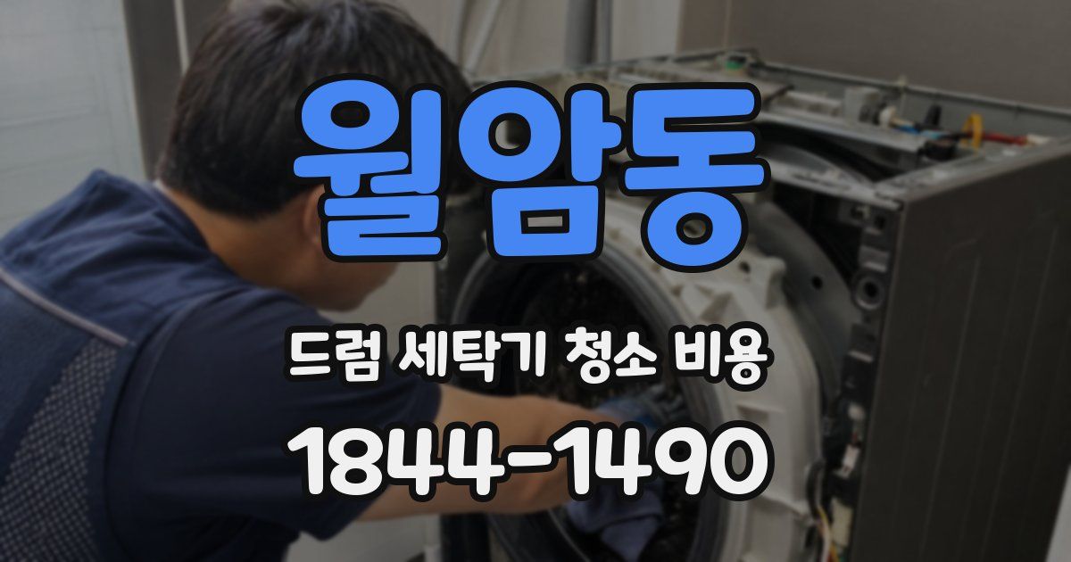 월암동 드럼 세탁기 청소 비용