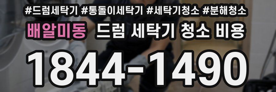 배알미동 드럼 세탁기 청소 비용
