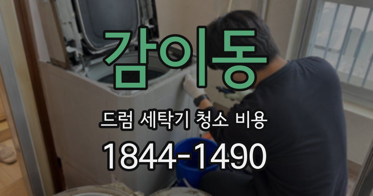 감이동 드럼 세탁기 청소 비용