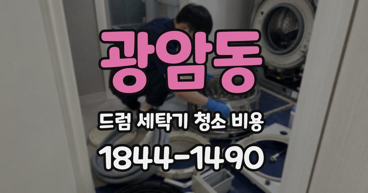 광암동 드럼 세탁기 청소 비용