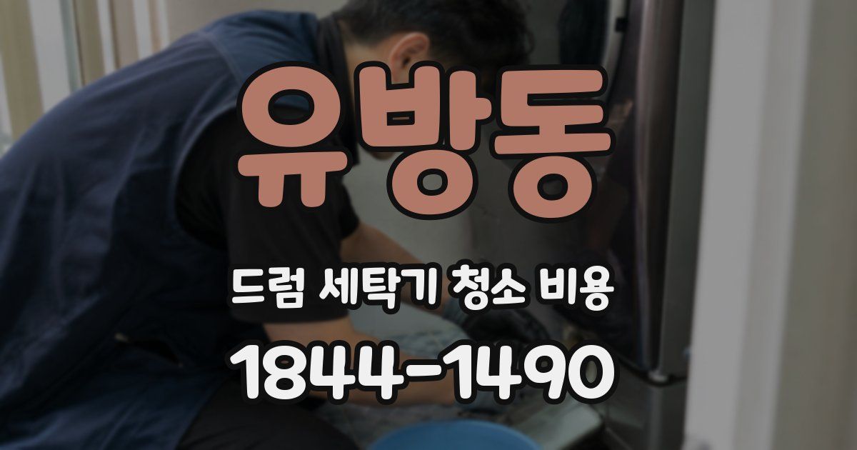 유방동 드럼 세탁기 청소 비용