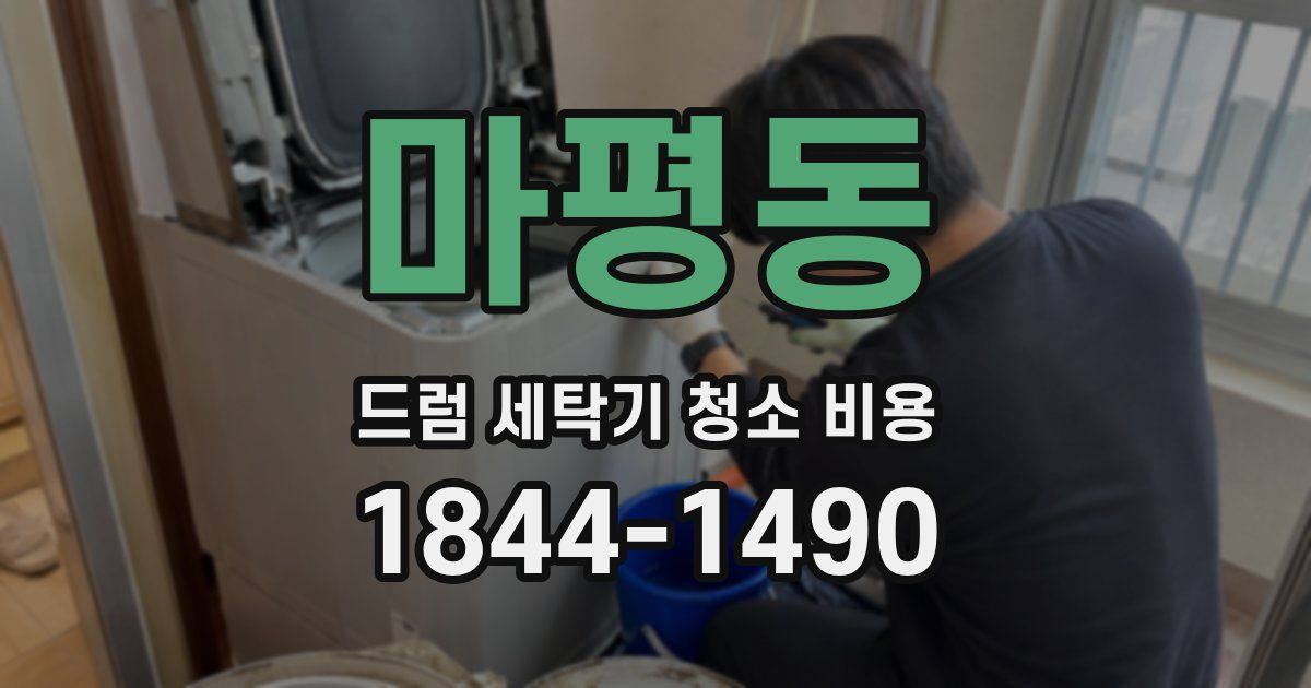 마평동 드럼 세탁기 청소 비용