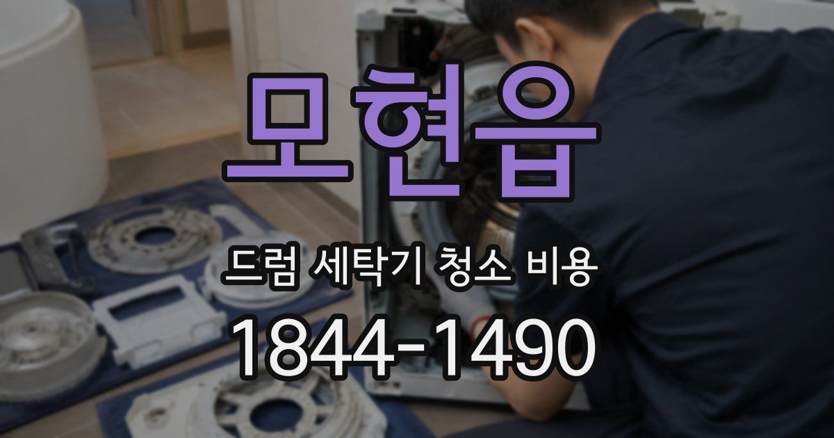 모현읍 드럼 세탁기 청소 비용