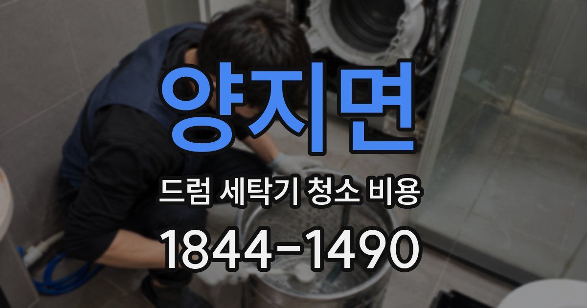 양지면 드럼 세탁기 청소 비용
