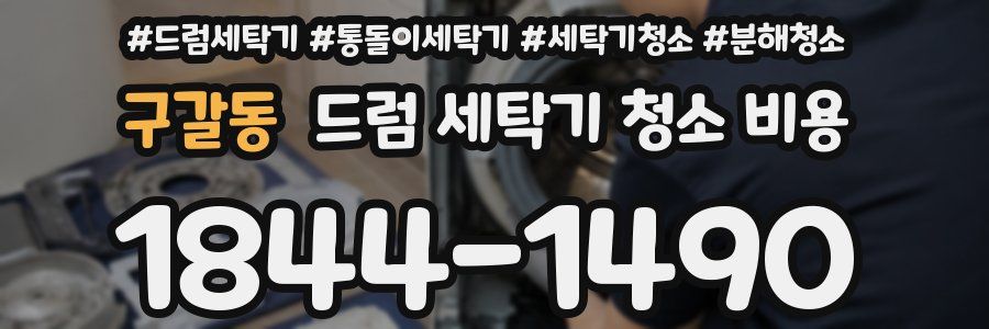 구갈동 드럼 세탁기 청소 비용