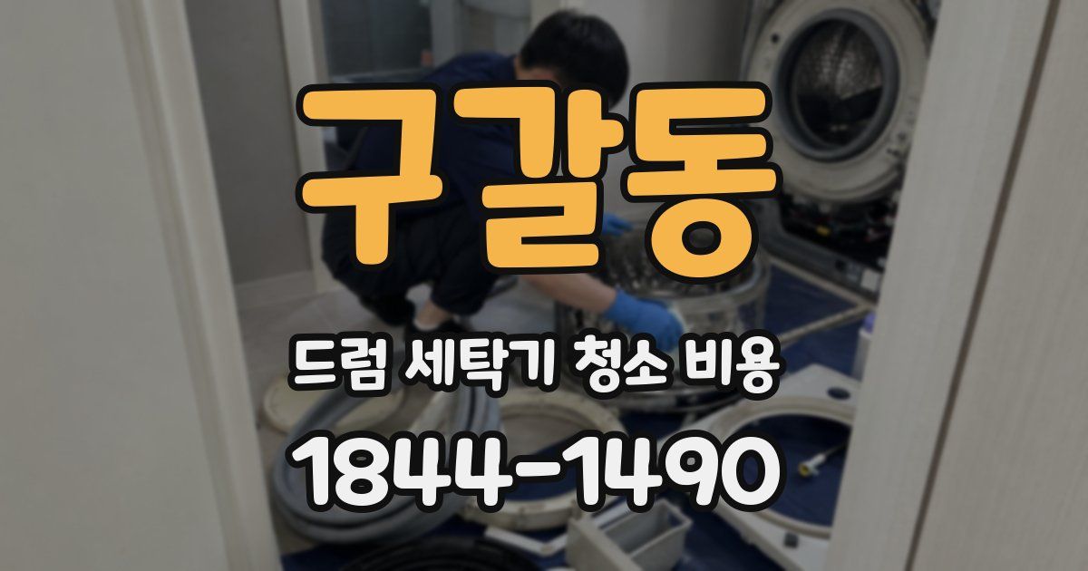 구갈동 드럼 세탁기 청소 비용
