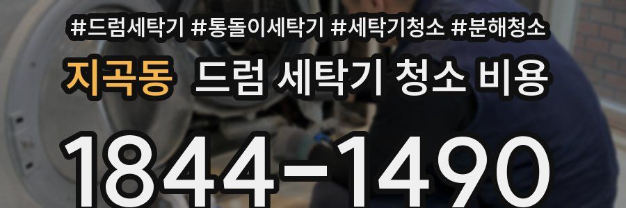 지곡동 드럼 세탁기 청소 비용