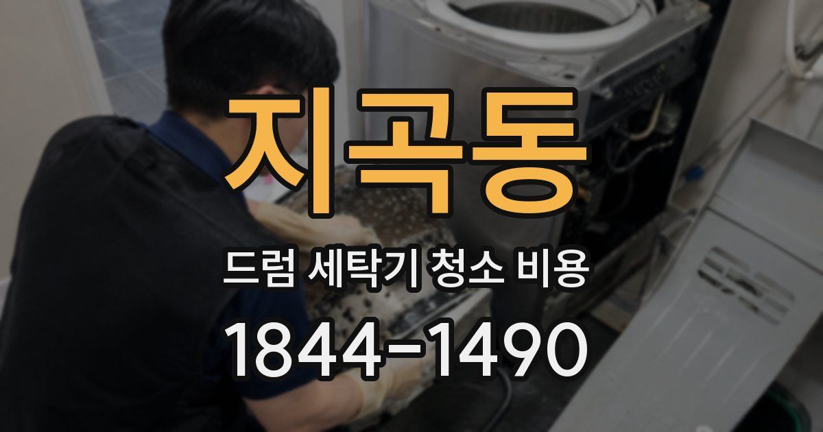 지곡동 드럼 세탁기 청소 비용