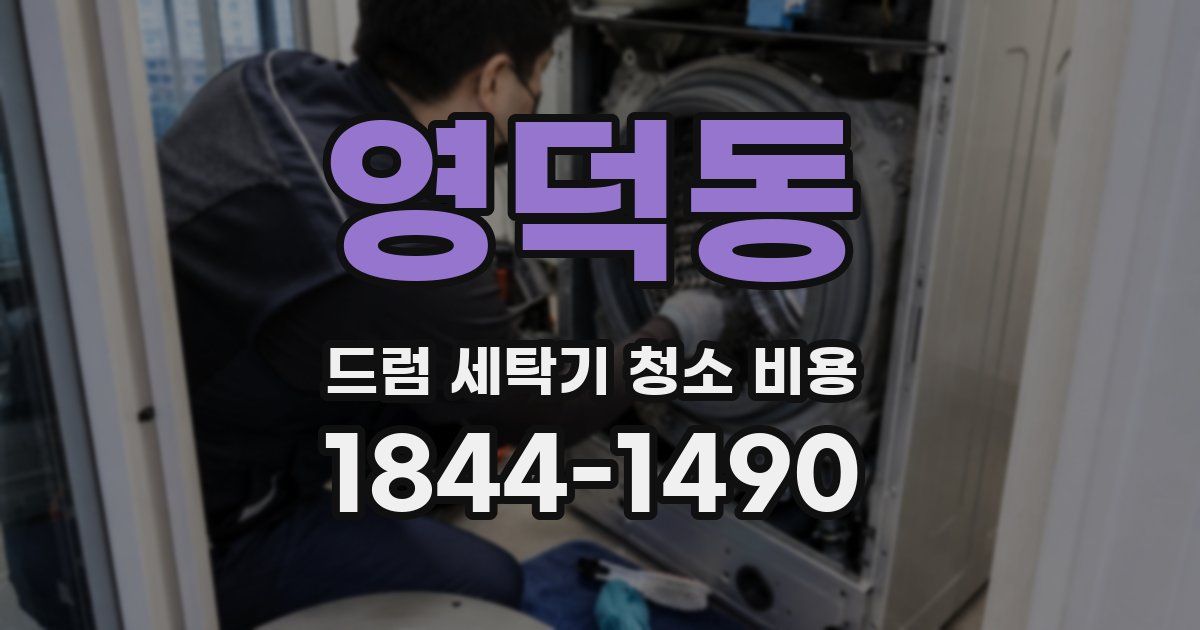 영덕동 드럼 세탁기 청소 비용