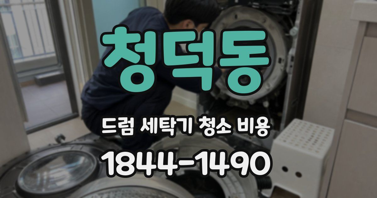 청덕동 드럼 세탁기 청소 비용