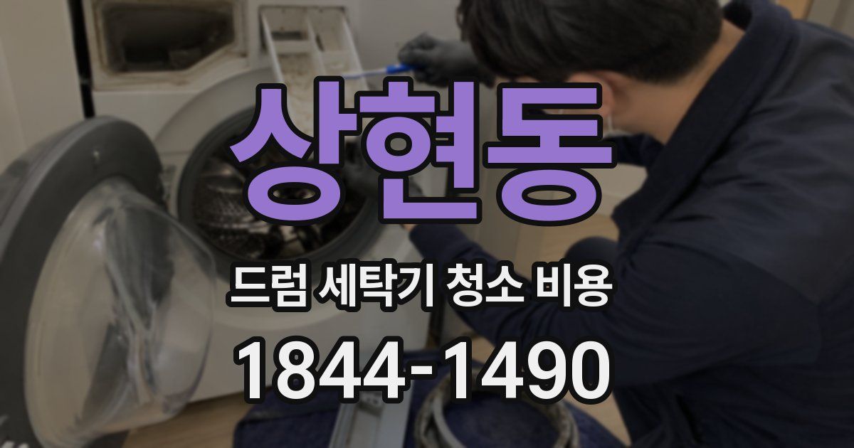 상현동 드럼 세탁기 청소 비용