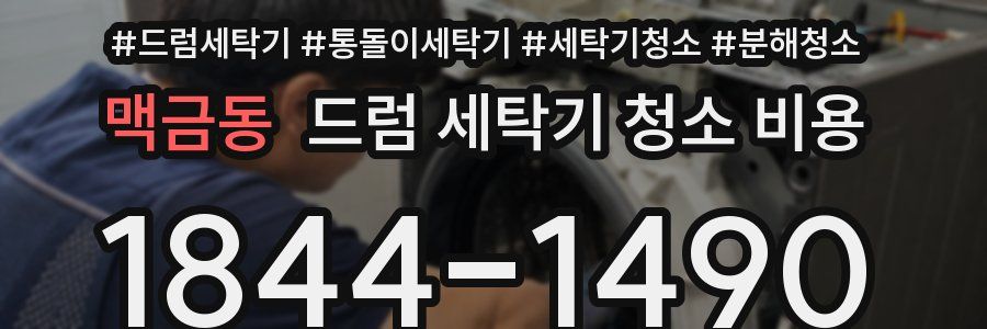맥금동 드럼 세탁기 청소 비용