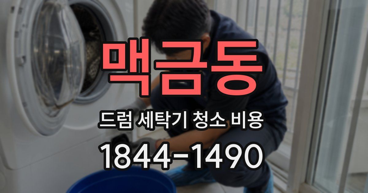 맥금동 드럼 세탁기 청소 비용