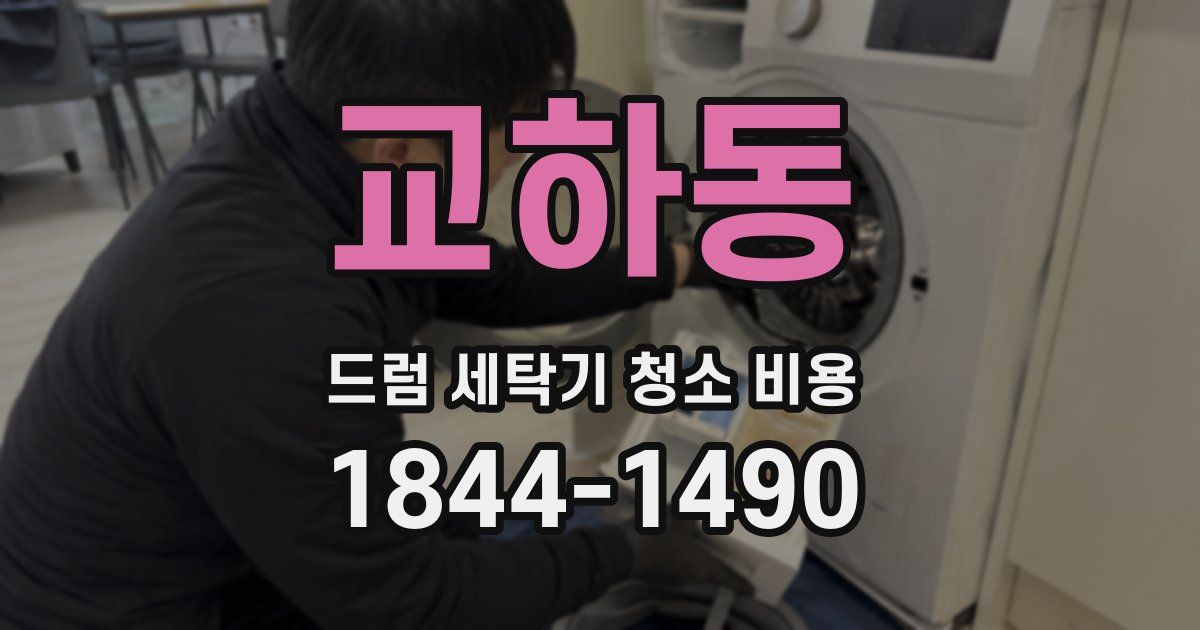 교하동 드럼 세탁기 청소 비용