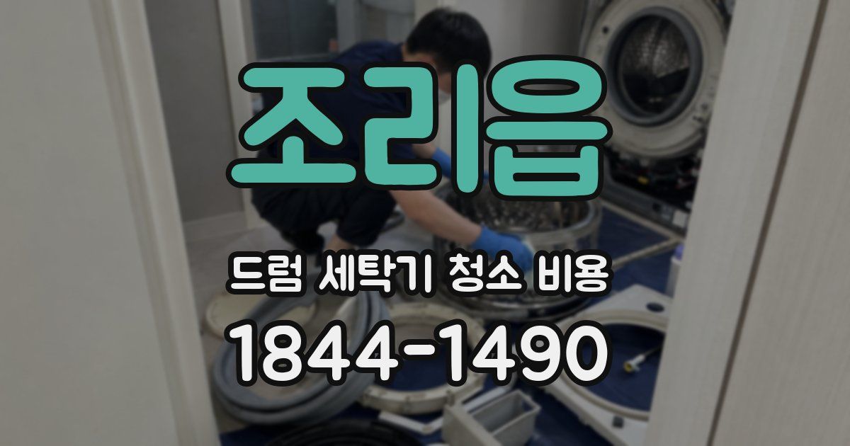 조리읍 드럼 세탁기 청소 비용