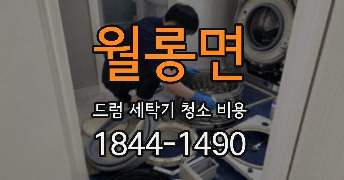 월롱면 드럼 세탁기 청소 비용